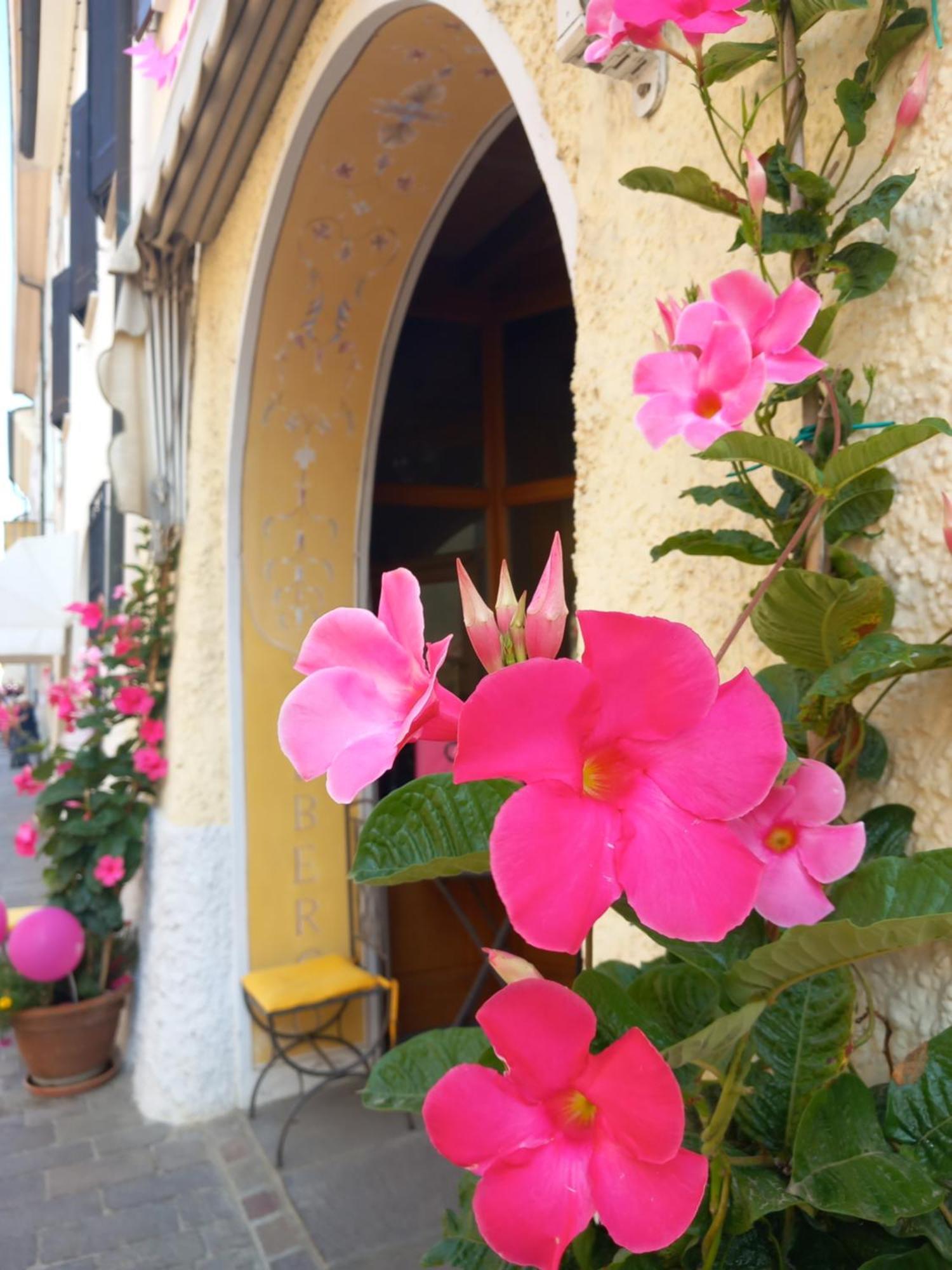 Albergo Giulia Gonzaga Sabbioneta Bagian luar foto